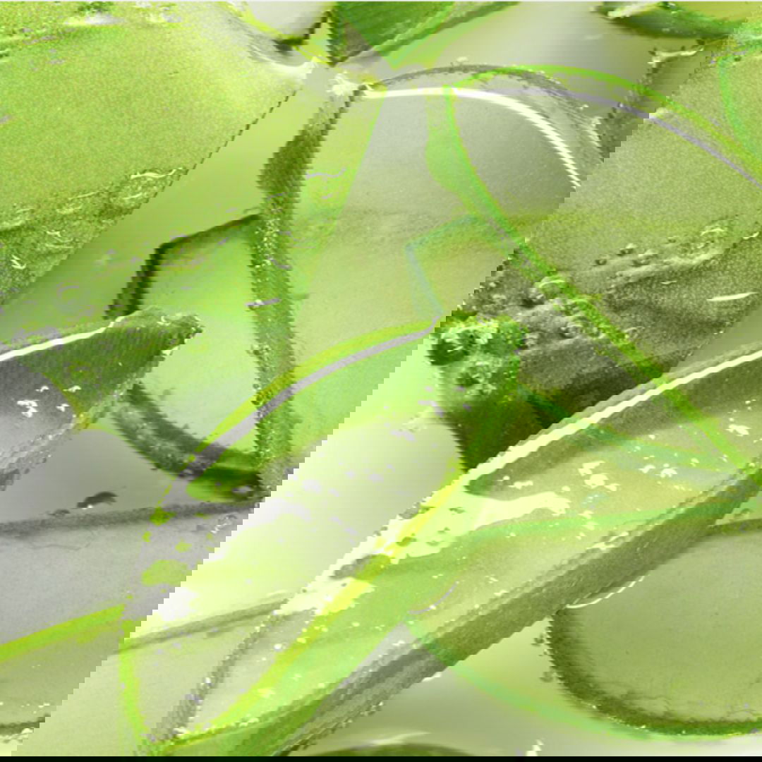 Foodaholic Nature Aloe Vera Emulsion - Miessential