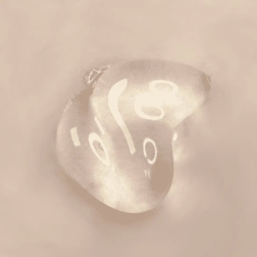 Foodaholic Rose Water Soothing Gel