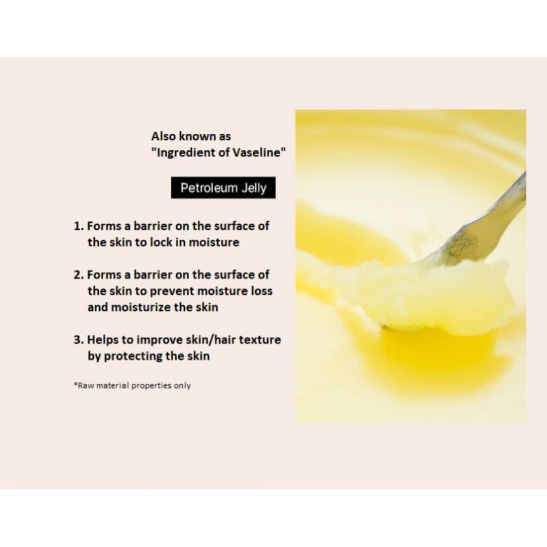 Foodaholic Nature Essence Lip Balm